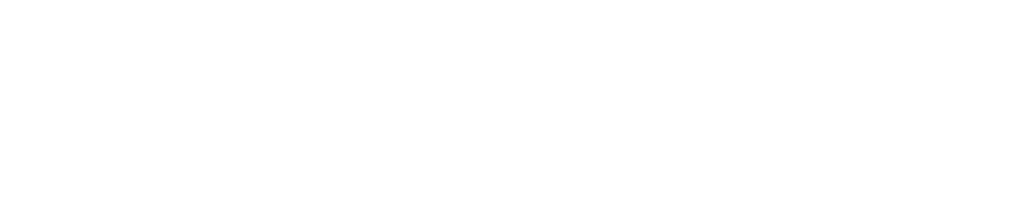 Logo Havenfeest Leimuiden